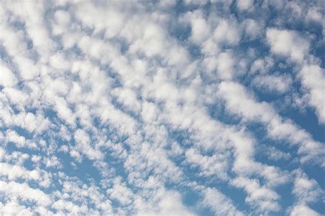Cirrocumulus Clouds Against Blue Sky Cloudscape Photograph By Juhani