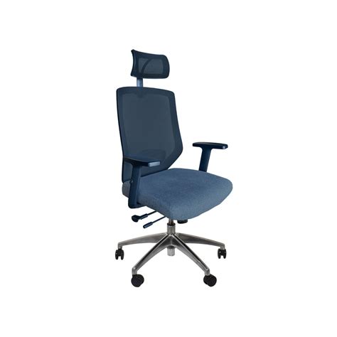Ergonomic Chairs Buy Ergonomic Office Chairs Online Chairs Ofx Office
