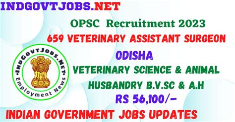 Opsc Recruitment 2023 659 Veterinary Asst Surgeon Best Jobs