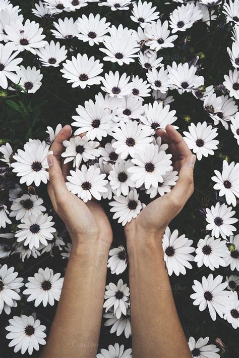 Female Hands Holding Flowers By Yanaproduction On Creativemarket