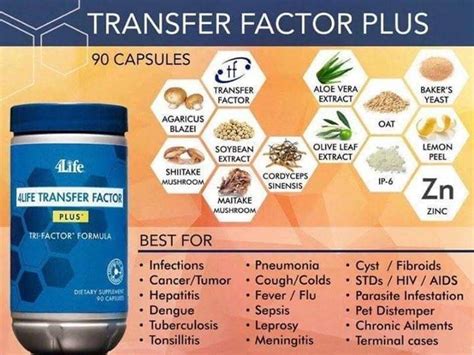 4life transfer factor plus is a dietary supplement that is designed to support your immune system response. Pin by pedro custodio on Transfer Factor Plus | Cells ...