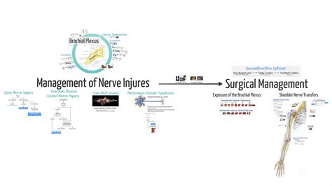 2012 Crn Brachial Plexus Lesions Feat Dr Mackinnon Youtube