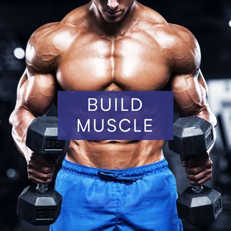 Build Muscle Byop