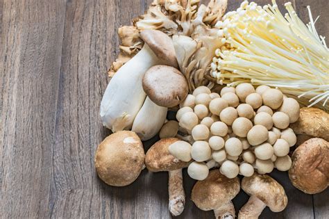 Types Of Edible Mushrooms And How To Cook Them Mccormick