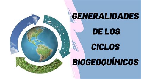 Generalidades De Los Ciclos Biogeoquímicos Youtube