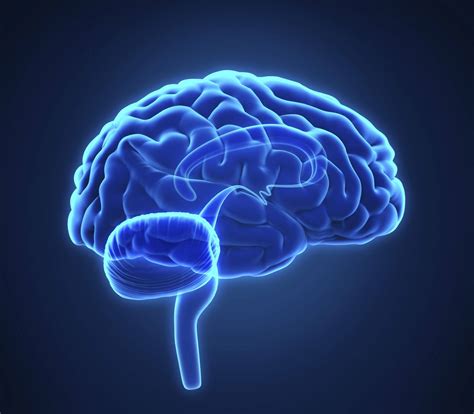 Start reading the long game: Des implants dans le cerveau pour améliorer la mémoire ...