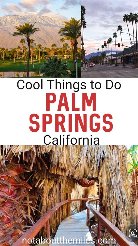 Awesome Things To Do In Palm Springs California In Palm