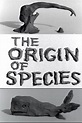 Clay or The Origin of Species (película 1964) - Tráiler. resumen ...