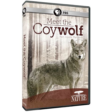 Nature Meet The Coywolf Dvd