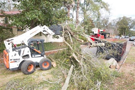 Loganville ga locals trust environmental turf management. Tree Services Augusta, GA | Stump Removal & Tree Removal ...