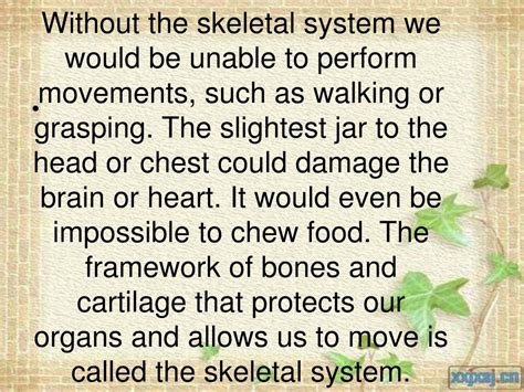 Ppt The Skeletal System Skeletal System 临床医学一系 09 级八班一组 Powerpoint
