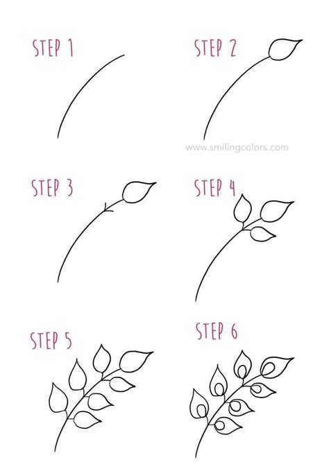Https://tommynaija.com/draw/how To Draw Leaves On A Flower