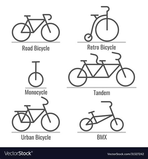 Bicycle Types Collection Royalty Free Vector Image
