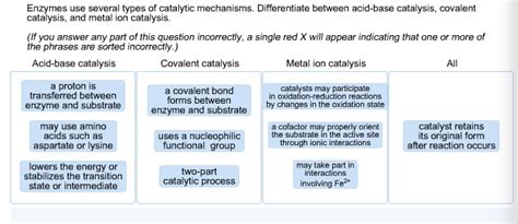 Enzymes Use Several Types Of Catalytic Mechanisms