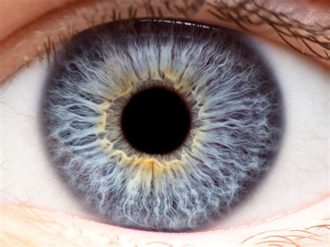 Precise Bio Opens Ophthalmology Facility To Develop D Printed Corneas