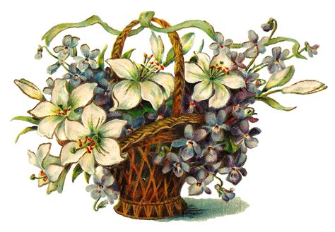 Antique Images Wildflower Image Free Flower Basket