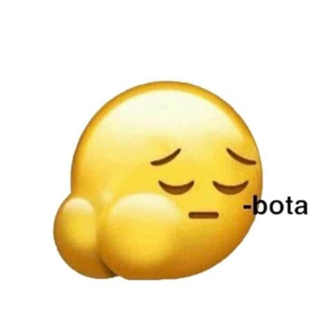 Bota Mood Pics Emoji Meme Funny Mems