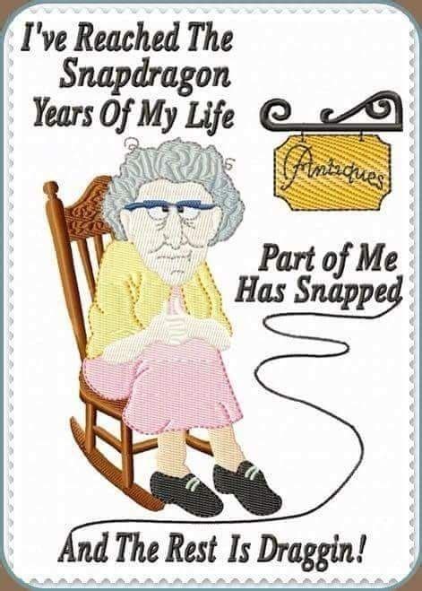 Pin By Janae Thorstensen On Aging Old Age Humor Senior Humor Aging