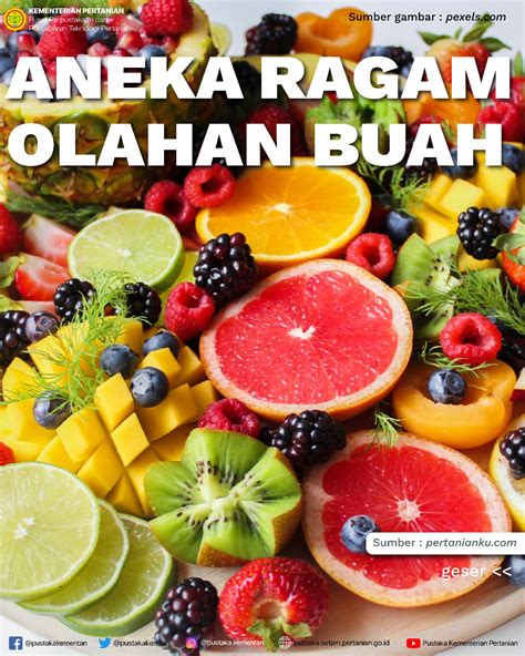 Aneka Ragam Olahan Buah