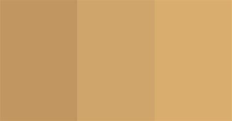 Sand Color Color Scheme Brown