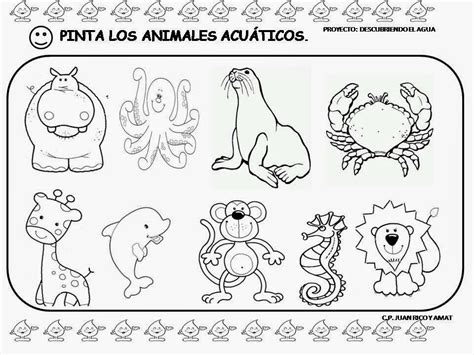 Archivo De álbumes Clasificación De Animales Fichas De Animales