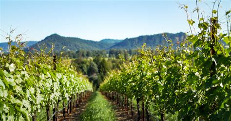 Umpqua Valley Winegrowers Umpqua Valley Ava