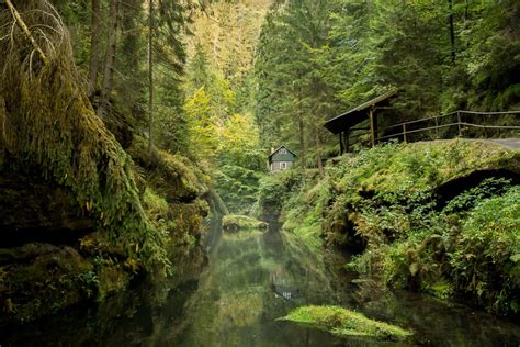 Komt u voor de prachtige natuur naar tsjechië? Reisvideo: Betoverend mooi Boheems Zwitserland in Tsjechië ...