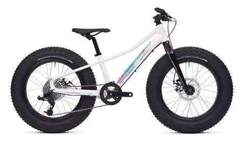 Best Kids Fat Bikes In 2021 Fat Tire And Mid Fat Tire Bikes For Kids
