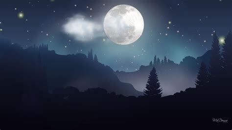 Moonlight Forest Night 153828 High Quality And Resolution