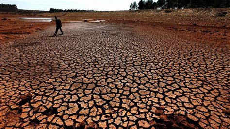 Desertificação Ameaça 94 Das Terras Na Paraíba E é Irreversível