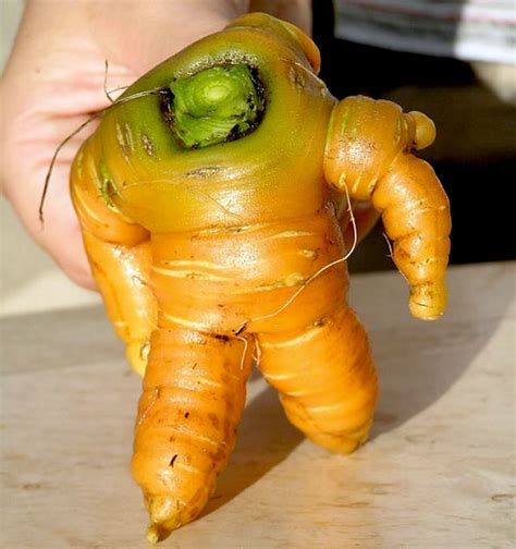 16 Funny Shaped Fruits And Vegetables That Forgot How To Be Plants