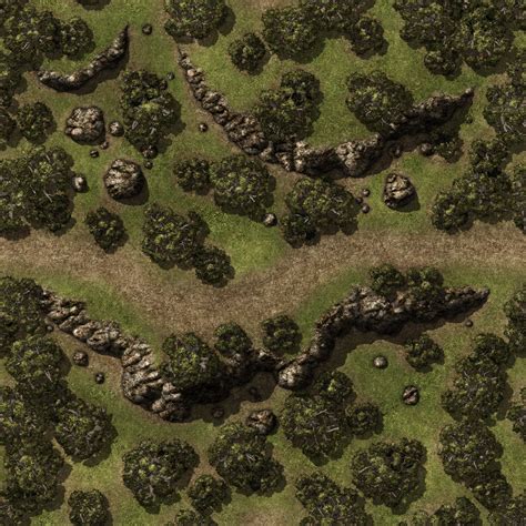 Swamp 22x30 Public Fantasy World Map Dungeon Maps For