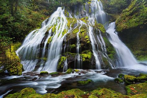 Waterfalls Moss Panther Creek Falls Columbia River Gorge Oregon Nature