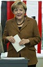 est100 一些攝影(some photos): German general election, 2013. 德國大選