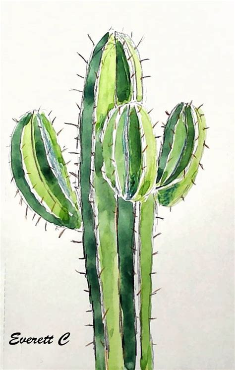 Cactus Drawing