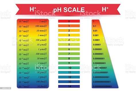 Ph Scale Chart Vector Illustration Stock Illustration Download Image