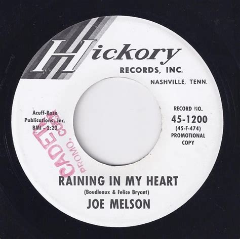Joe Melson Raining In My Heart Releases Discogs