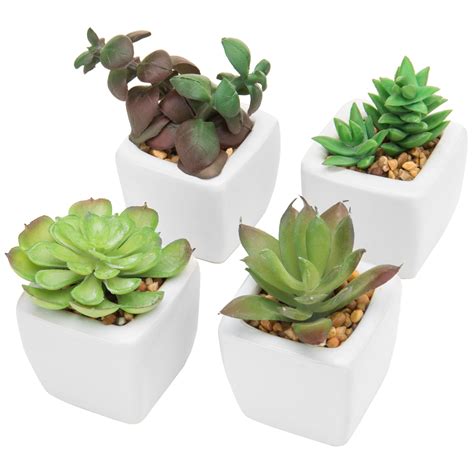 Small Green Plastic Artificial Succulent Plants In Mini Modern White