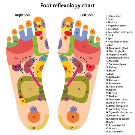 Clinical Reflexology Zoes Zen Zone Cheadle Staffordshire