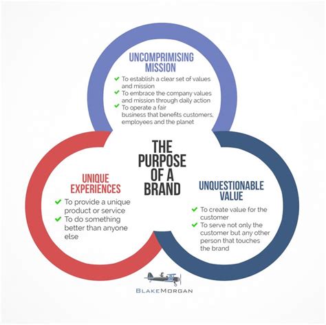 The Purpose Of A Brand Framework Branding Infographic How To