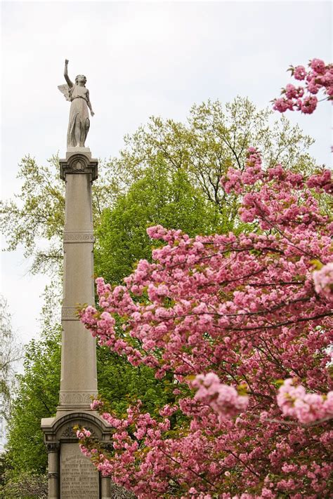 Best Places To See Cherry Blossoms In Nyc Cherry Blossom Nyc Tourist