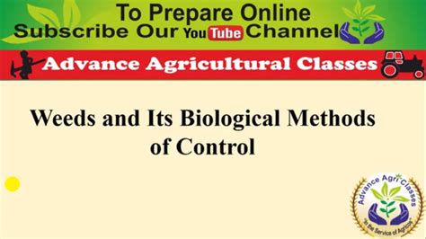 Biological Methods Of Weed Control Youtube
