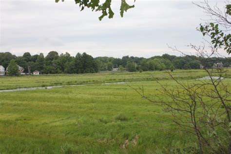 Salt Marsh Free Stock Photo Public Domain Pictures