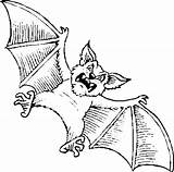 Bat Coloring Printable Halloween Scary Cartoon Popular Library Clipart sketch template