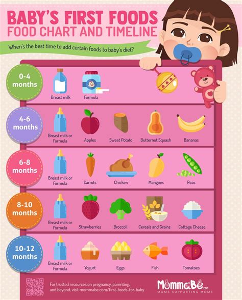 Baby First Foods 6 Months Foods Details