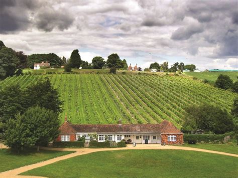 Sip Back And Relax The Best Vineyards In Sussex Bradt Guides
