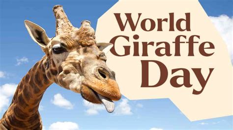 World Giraffe Day 2022 Date Importance And Significance