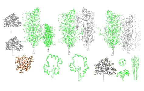 Autocad Tree Blocks Free Download Garryom