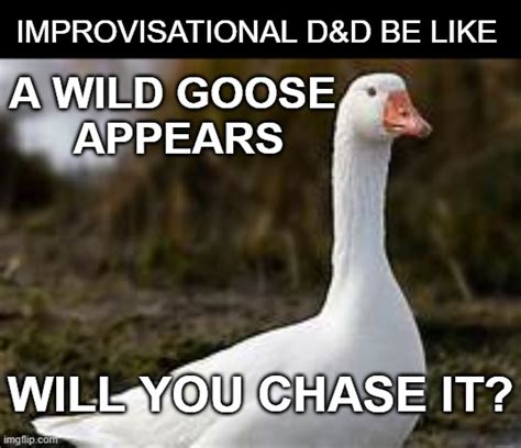 Goose Memes And S Imgflip