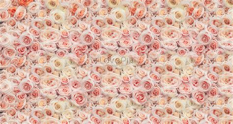 Flower Wall Background Images HD Pictures For Free Vectors Download Lovepik Com